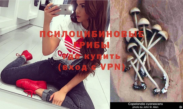 стаф Баксан